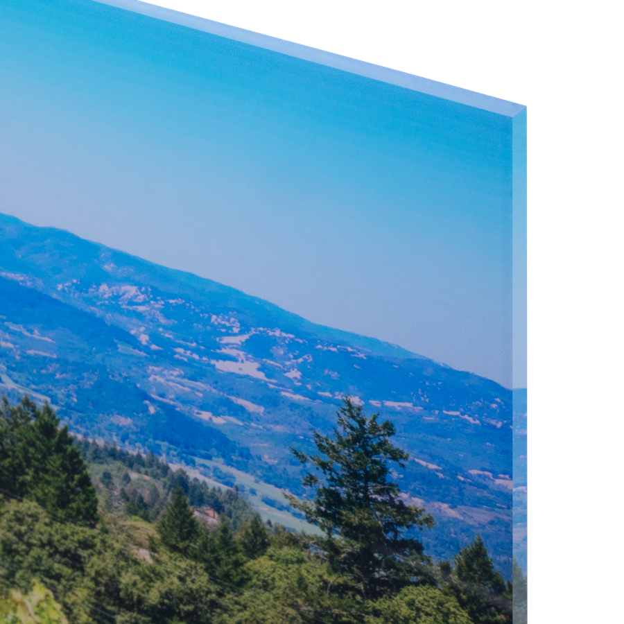 Canvas Print | Single Photo